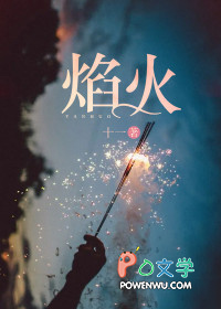 焰火型自动灭火装置xgmz/4